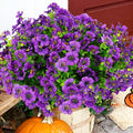 Artificial Flowers for Outdoor, UV Resistant Fake Silk Flowers, Realistic Faux Plants for Outside Indoor Porch Patio Window Box Planter Home Decor (20, Purple)
