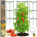 Tomato Cage - Large Trellis Stakes and Plant Support Structures for Vegetables and Climbing Plants - Tall Tomato Cages for Garden, Pots, Raised Garden Bed Outdoor Supplies (3 Pack - Up to 48")