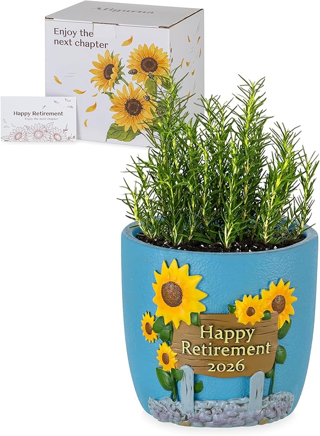 Retirement Gifts for Woman 2026: Happy Retirement Gifts for Women Nurse Teacher Coworker - Unique Retired Garden Gifts for Decoration - Hand-Painted Plant Pot Present with Gift Box and Card