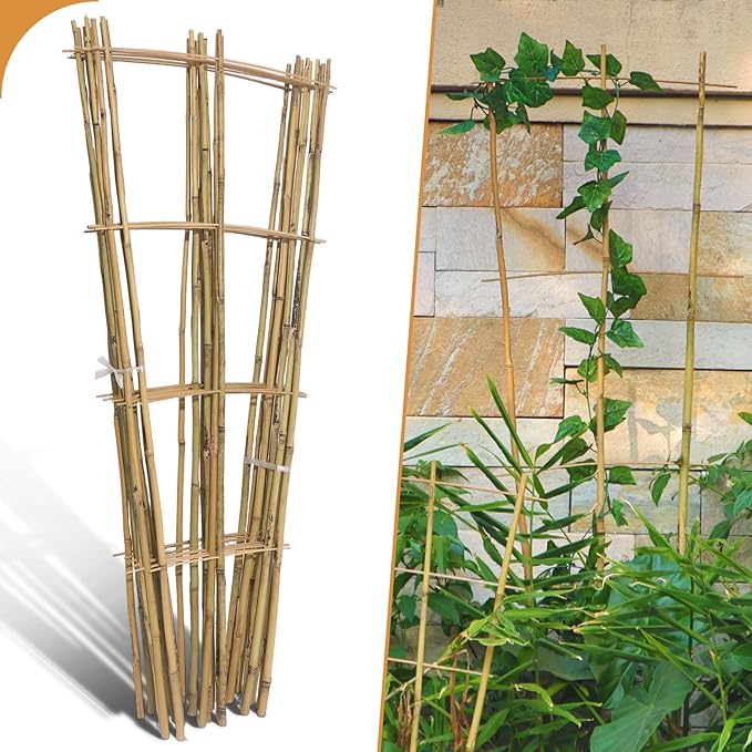10 Pack 4ft Bamboo Trellis for Climbing Plants - Fan-Shaped Support Trellis for Potted Plant Decor in Door