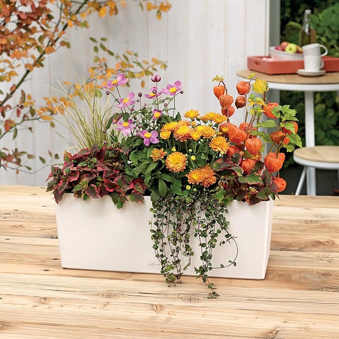 Lechuza BALCONERA Color 50 White, Self-Watering Window Box (Railing Planter), H7.5 L19.7 W7.5 in