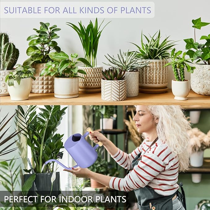 Watering Can Indoor Plants, 35oz Small Stainless Steel Metal Watering Can Modern Decorative Watering Pot with Long Spout for Indoor House Plant Bonsai Garden Flowers (Purple)