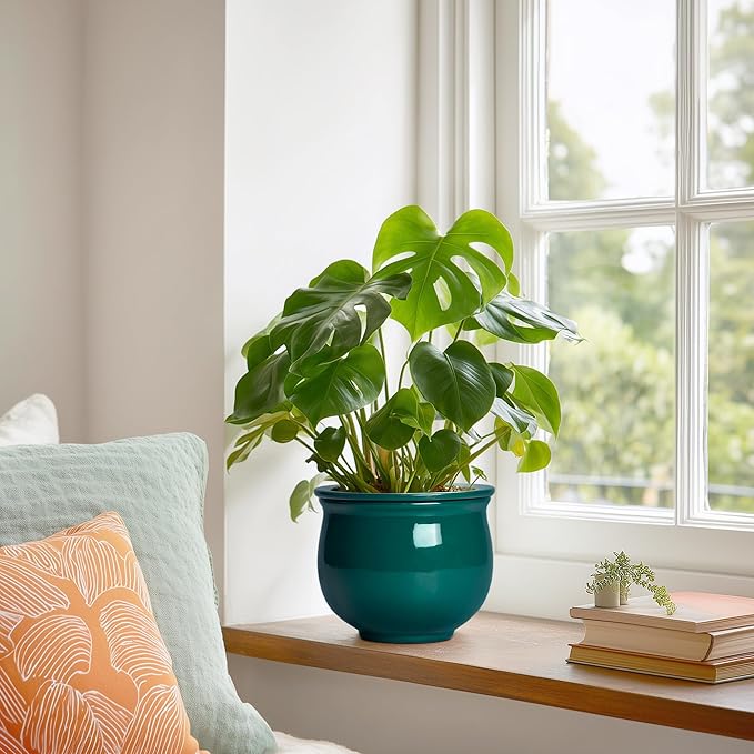 6 Inch Self Watering Plant Pots, Ceramic African Violet Pot with Absorbent Inner Pot, Easy Self Watering Pots for Indoor Plants, Ceramic Planter, Room Decor, Plant Lover Gifts, Blackish Green