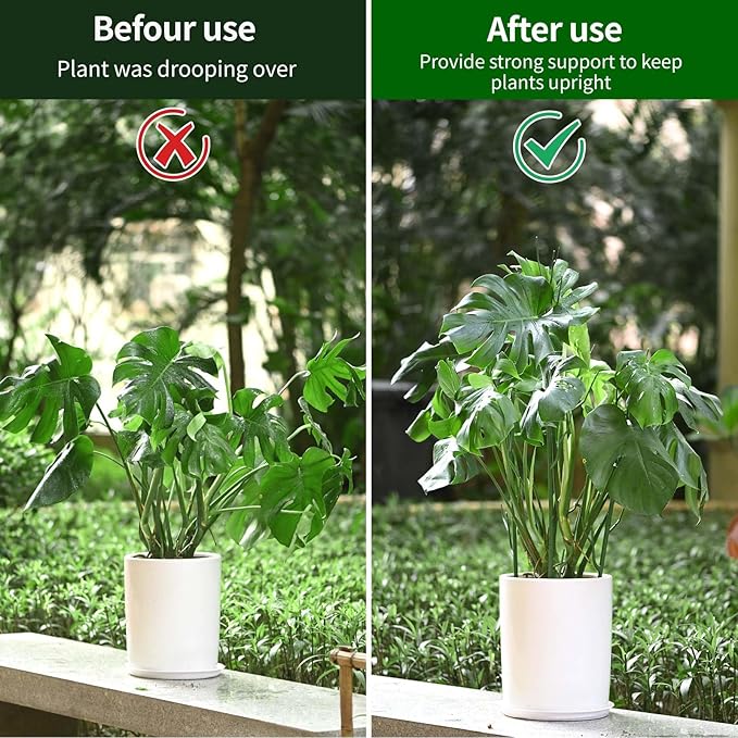 4 Pack Plant Support Stakes, Plant Stakes for Indoor and Outdoor Plants. 28inch Plant Sticks with Extension Poles, Plant Clips, Plant Ties for Potted Monstera Plants, Climbing Plants