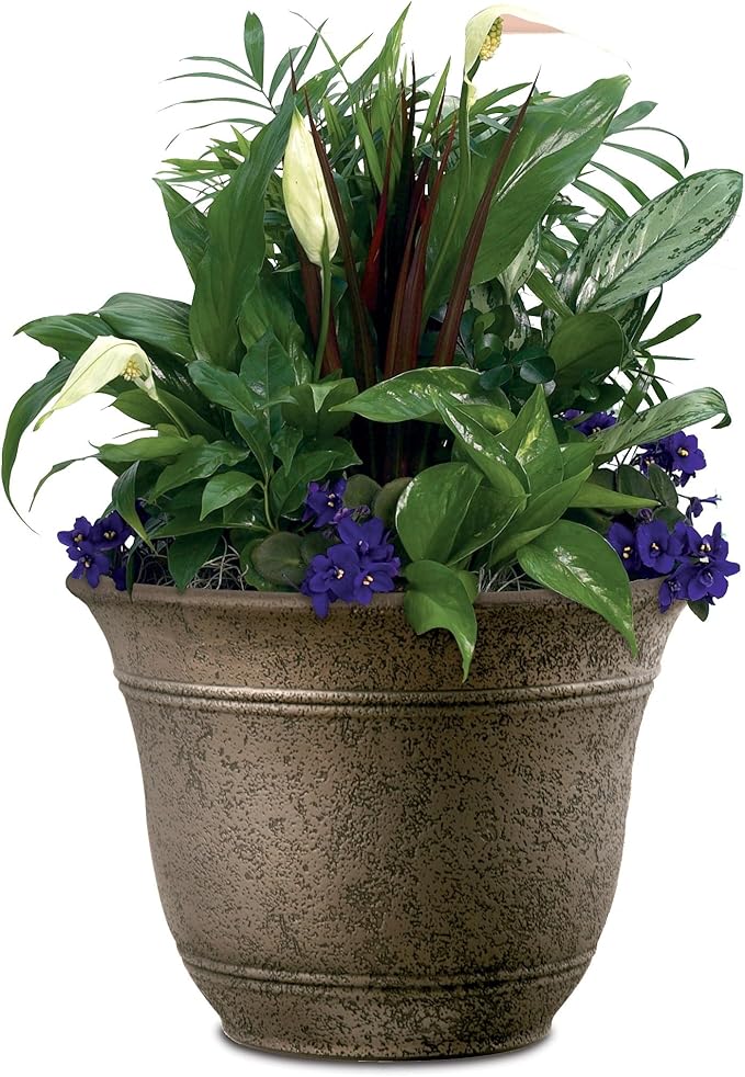 The HC Companies Sierra Round Self-Watering Pot - Lightweight Plastic Planter for Herbs & More - Durable Plant Pots for Indoor Plants & Outdoor Plants (10” Celtic Bronze, Pack of 1)