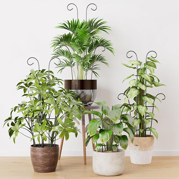 Larger 23.6in Plant Trellis for Climbing Plants Indoor Outdoor, 4 Pack Expandable Metal Trellis for Potted Plants - Sturdy Rustproof Plant Support for Pothos Ivy Hoya Monstera, Houseplant Decor