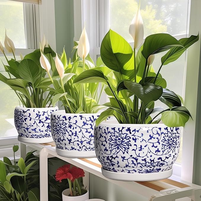SQOWL Ceramic Pots for Plants - 10 Inch Ceramic Flower Pots with Drainage Hole and Saucer, Round Large Planter Indoor, Decorative Porcelain Planter Outdoor, Home Decor, Birthday Gifts, Blue and White