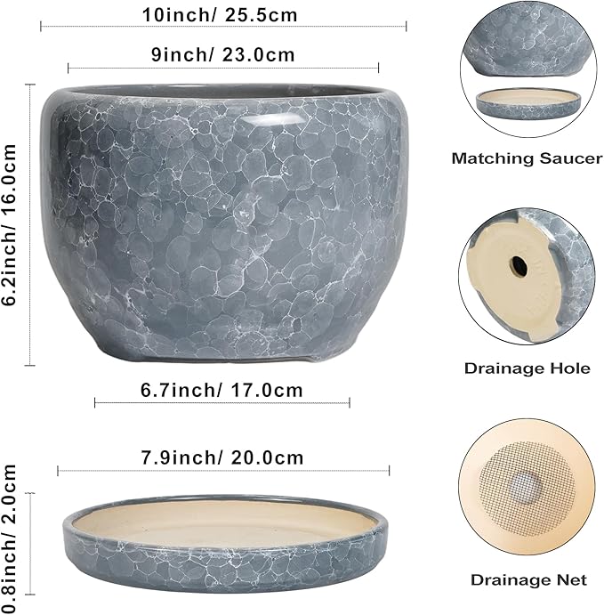 SQOWL Ceramic Pot for Plants - 10 Inch Plant Pot Indoor with Drainage Hole and Saucer, Round Ceramic Planter, Decorative Large Flower Pot Outdoor, Home Office Room Decor, Garden Gifts, Gray