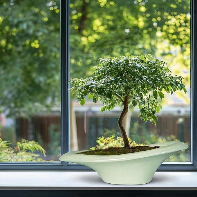 Ceramic Bonsai Pots - Large Succulent Planter 18 Inch Plant Pot Indoor Succulent Pot with Drainage Hole Outdoor Planter Bonsai Tree Pot for House Home Garden Decor Green