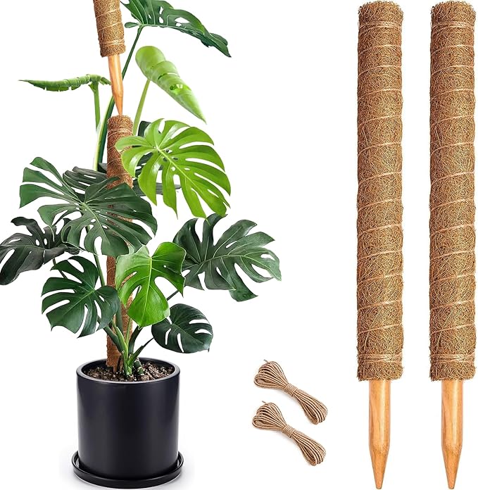 Soupiar 2 Pack 22 Inch Stackable Moss Pole - Thick & Sturdy Natural Coir Totem Plant Support & Garden Stakes for Monstera & Pothos, Indoor Climbing Vining Houseplants, 38”H Max