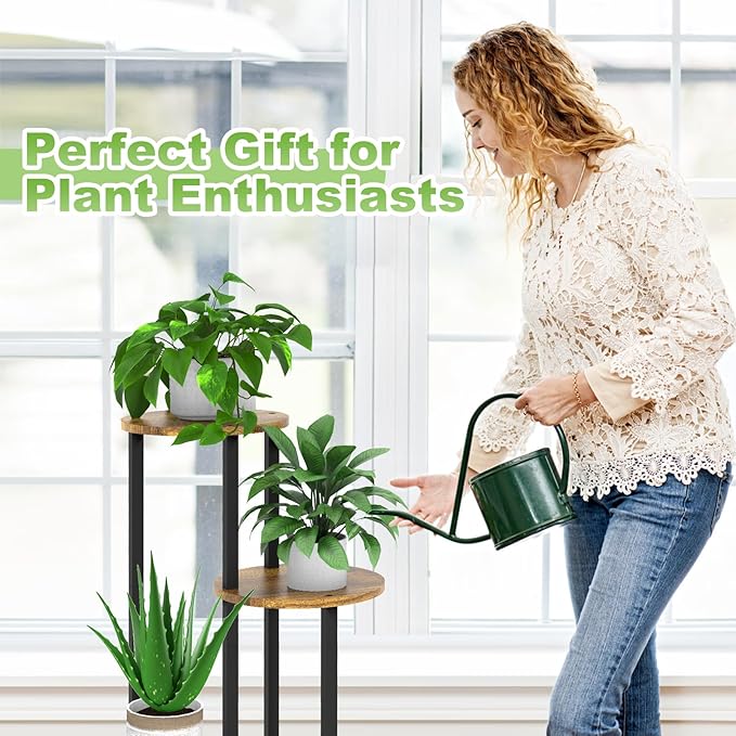 Plant Stand Indoor, 4 Tier Thickened Metal Corner Plant Shelf for Multiple Plants, Indoor Plants Tiered Flower Pot Stand for Patio Garden Balcony Living Room Bedroom (Black)