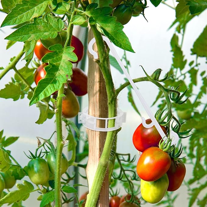 250 Pcs Tomato Clips, Plant Support Clips and J Tomato Hooks, Plastic Trellis Clip Vegetable Cages Vine Garden Clip for Tomatoes Cucumber Grape Melon, Makes Plants Grow Upright or Prevent Falling Off