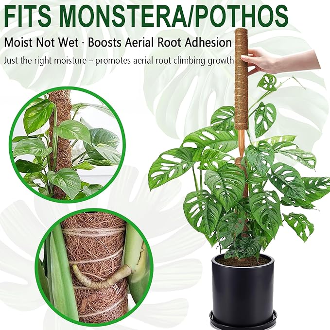 Soupiar 2 Pack 22 Inch Stackable Moss Pole - Thick & Sturdy Natural Coir Totem Plant Support & Garden Stakes for Monstera & Pothos, Indoor Climbing Vining Houseplants, 38”H Max