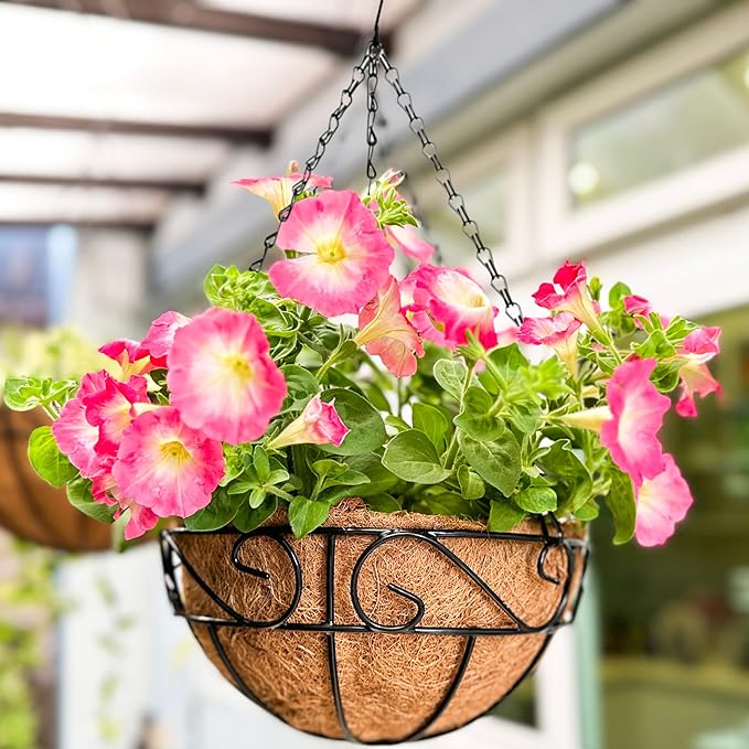LaLaGreen Hanging Planter for Outdoor Plants (10 Inch, 2 Pack) Hanging Baskets with Coco Liner, Black Metal Wire Flower Basket Pots with Hook Hanger Balcony Porch Farmhouse Country Style Garden Decor