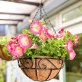 LaLaGreen Hanging Planter for Outdoor Plants (10 Inch, 2 Pack) Hanging Baskets with Coco Liner, Black Metal Wire Flower Basket Pots with Hook Hanger Balcony Porch Farmhouse Country Style Garden Decor