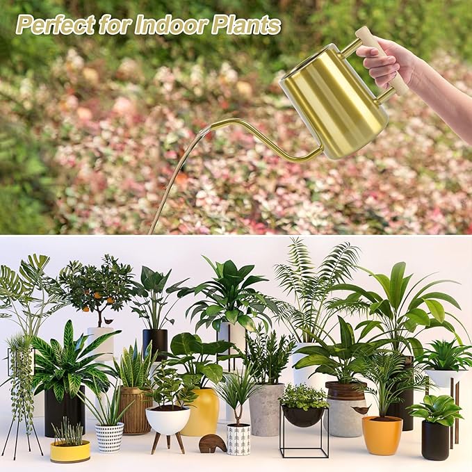 Watering Can Indoor Plants, 35 oz/1000 ml Metal Stainless Steel Watering Can Pot with Long Spout for Indoor House Plants Bonsai Outdoor Garden Flower Decorative (Gold)