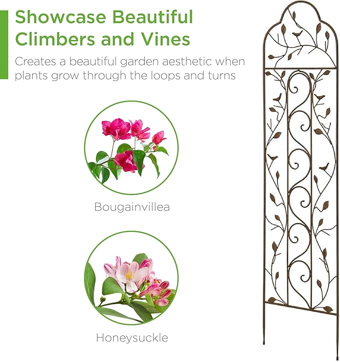 Best Choice Products Set of 2 60x15-inch Iron Arched Garden Trellis w/Branches, Birds for Lawn, Garden, Backyard, Climbing Plants
