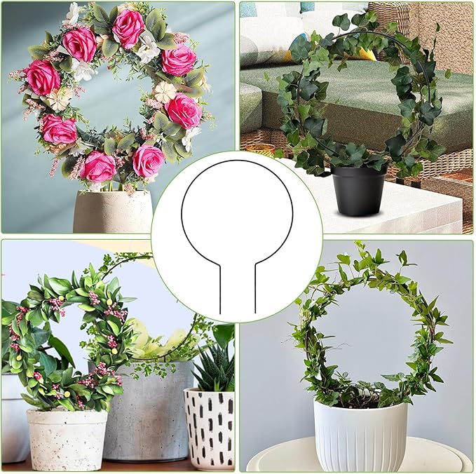2 Pack Round Plant Trellis for Indoor Potted Plants, Acrylic Small Trellis for Climbing Plants Indoor Outdoor Plant Support for Hoya Pothos Vine Ivy Monstera Flower Philodendrons Dischidia