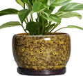 SQOWL Ceramic Flower Pots - 8 inch Ceramic Planter for Indoor Plants, Decorative Plant Pots with Drainage Hole and Saucer, Round Planter Outdoor, Porch Backyard Decor, Housewarming Gifts, Yellow