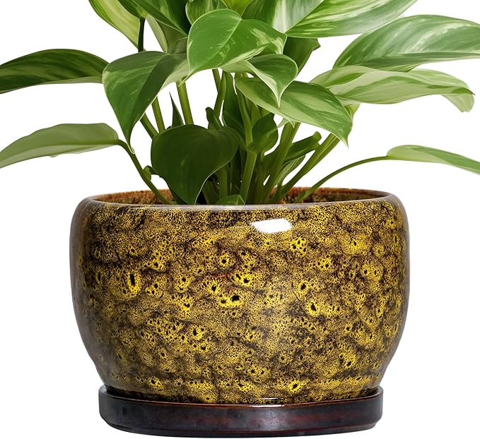 SQOWL Ceramic Flower Pots - 8 inch Ceramic Planter for Indoor Plants, Decorative Plant Pots with Drainage Hole and Saucer, Round Planter Outdoor, Porch Backyard Decor, Housewarming Gifts, Yellow