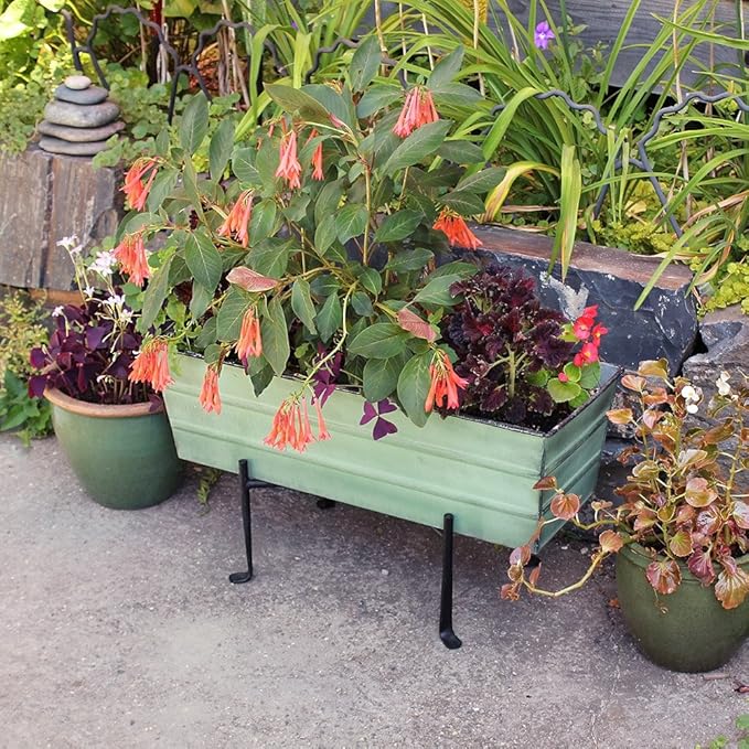 Achla Designs Galvanized Window Flower Box Planter-Green-Medium (24" L x 9.5" W x 7.5" H)