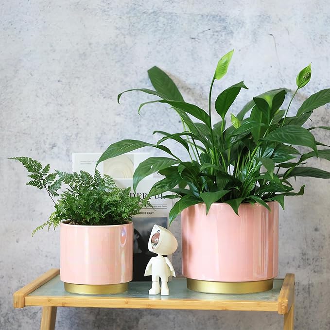 Gepege Pink Indoor Plant Pots for Plants, Ceramic Planter with Drainage Hole, 7.6 Inch +6 Inch 2pcs Succulent Orchid Flower Pot - Rainbow Pearl Glaze