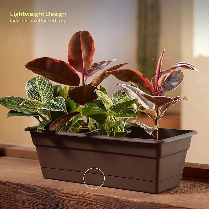 Bloem Dura Cotta Window Box Planter: 30" - Chocolate - Large Box with Tray, Weatherproof Resin Box, Removable Tray for Indoor & Outdoor Use, Gardening, 4 Gallon Capacity
