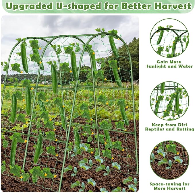 Cucumber Trellis for Raised Bed, Garden Arch Trellis for Climbing Plants Outdoor, Metal Garden Trellis for Spring Vegetables, Cucumber Trellis for Spring Tomato, Bean, Pea, Grape, Plant