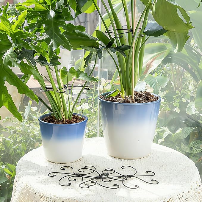 Monstera Plant Stem Support Set - 7.5x7.5 Inch Durable Stabilizers for Indoor Climbing Plants and Leaf Holders - Promote Healthy Growth and Stability (5 Pieces)