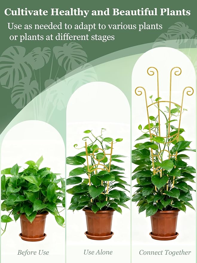 33 Inch Tall Expandable Metal Trellis for Potted Plants, Rustproof Expandable Indoor Outdoor Plant Support Trellis for Climbing Plants, Monstera, Ivy, Hoya with Sturdy Weighted Base (Gold)