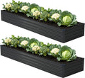 12x2x1ft(2 Pack) Galvanized Raised Garden Bed,Outdoor Planter Box Metal Patio Kit Planting Bed for Vegetables Flowers Herb,Black