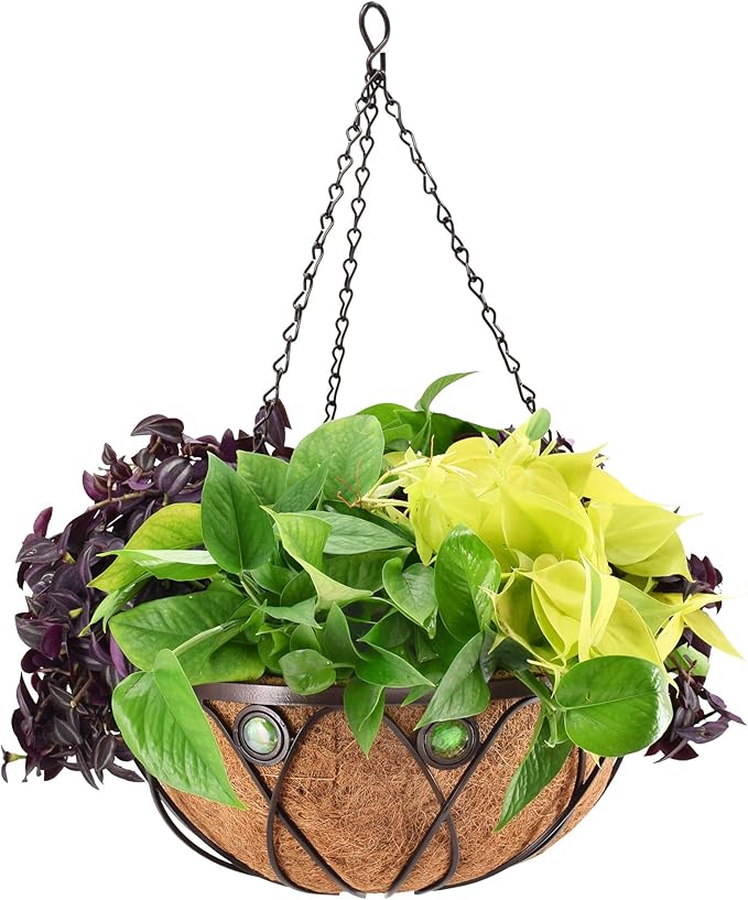 Arcadia CB02 Emerald Series Round Hanging Basket Planters, 16-Inch
