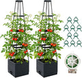2 Pack Raised Garden Bed Planter Box with Trellis, 57'' Self Watering Tomato Planters for Climbing Plants, Tomato Cage Trellis for Vegetables & Vine Flowers Indoor Outdoor Patio
