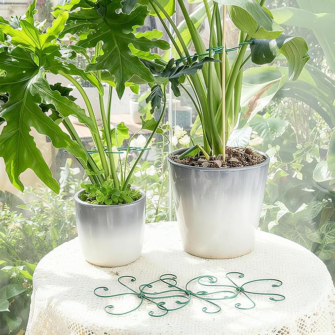 Monstera Plant Stem Support 5 Pcs - 7.5” Indoor Plant Stabilizer Holder for Monstera & Climbing Plants - Durable, Lightweight, Easy to Use for Optimal Growth & Stability - Home Décor Friendly