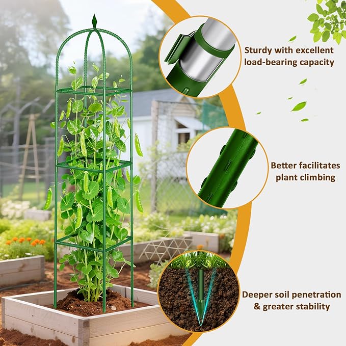 Garden Trellis for Climbing Plants, Tomato Cage, Rose, Flowers, Grape, Pea, Cucumber Trellis, Rustproof Plastic Coated Metal Plant Support for Potted Plants Indoor Outdoor - 2PC Plant Trellis