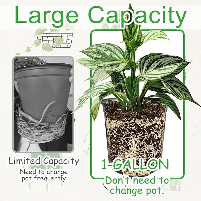 60 Pack 1 Gallon Flexible Plant Nursery Pots,Black Plastic Plant Pots with Holes,Flower Plant Container,Seedling Pot for Succulents,Cuttings,Transplanting,Home Garden