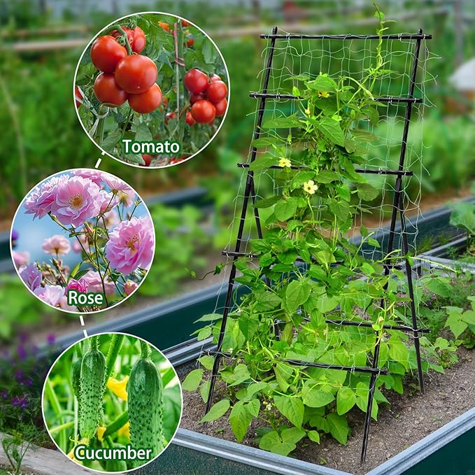 Lalahoni Cucumber Trellis, 6ft Tall Metal Garden Trellis for Climbing Plants Outdoor A-Frame Vine Plant Support for Vegetable Fruit Tomato Peas Beans Cucumber Trellis for Raised Bed