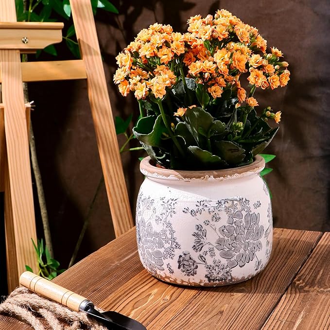 Flower Pot,Vintage Gray Ceramic Pot for Planter with Drainage Holes, 6.29 inch Ice Crack Glazed Small Rustic Planters Pot for Indoor,Tucan Home Decor,Gardening Gifts