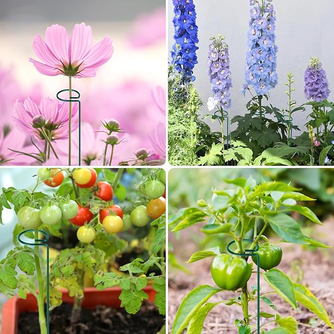 FEED GARDEN 16 Inch 12 Pack Plant Support Stakes, Metal Garden Flower Stakes and Supports for Outdoor Plants, Plant Stem Support with 24 Twist Ties for Amaryllis Lily Rose Peony Tomatoes Gladiolus