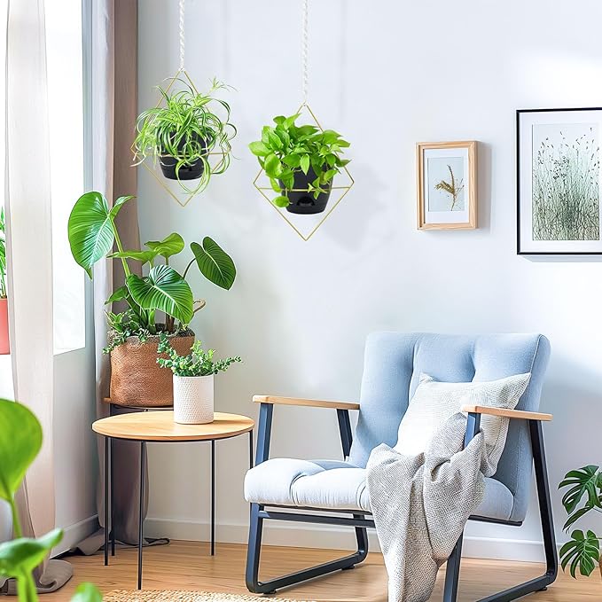 Hanging Planters for Indoor Plants, 2 Set Self Watering Hanging Flower Pots, Modern Hanging Plant Baskets with Metal Plant Holder & 6.5 Inch Plastic Pots for Garden Home Decor (Gold Frame Black Pot)