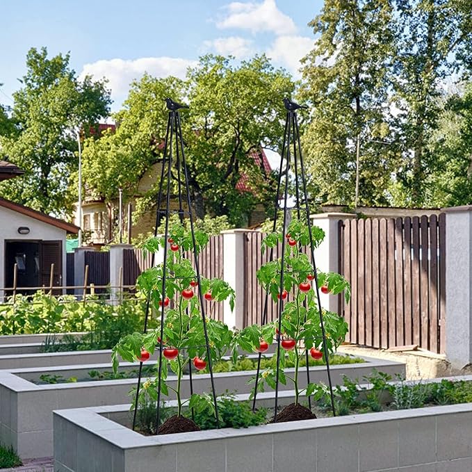 Cucumber Trellis, 67" Tall Obelisk Garden Trellis for Climbing Plants Outdoor Plastic-Coated Metal Support for Flower Vine Vegetable Tomato Cage Cucumebr Trellis Raised Bed, Black, 2 Pack
