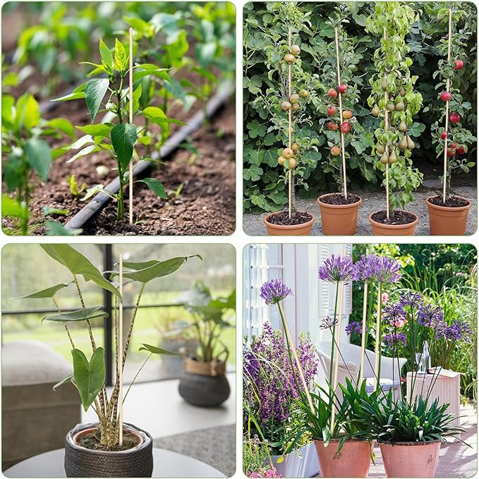 40 PCS Bamboo Plant Stakes 18 Inch, Wood Plant Support for Gardening for Potted Floral Plant, Indoor Wooden Sign Posting Garden Stick, Crafts Sticks with 40 PCS Wires(4")