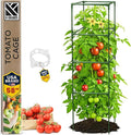 Tomato Cage Square - Large Trellis Stakes and Plant Support Structures for Vegetables and Climbing Plants - Tall Tomato Cages for Garden, Pots, Raised Garden Bed Outdoor Supplies (1 Pack - Up to 58")