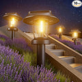 ALEPOD Solar Pathway Lights Outdoor - 10 Pack Solar Powered Garden Lights Waterproof IP65, Decor Landscape Lighting with Three Lighting Modes for Yard, Lawn, Walkway, Driveway, Warm White