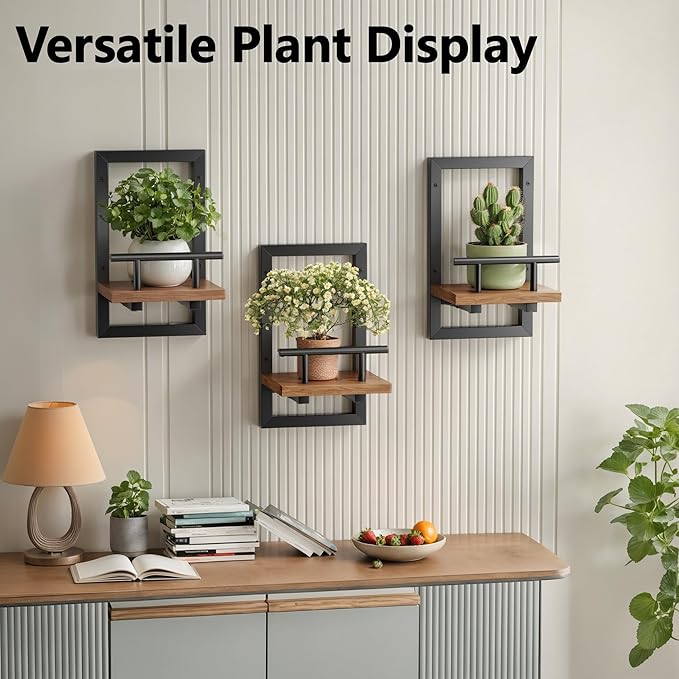 Floating Shelves for Wall, Plant Shelf Indoor, Wall Planters for Indoor Floating Plant Shelves for Bedroom, Living Room, Kitchen, Office, Bathroom Decor (2 Pack)