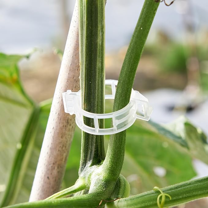 300 Pcs Plant Support Clips,Plastic Clips for Securing Plants,Tomato Vine Clips,Plant Fixing Clips,Garden Clips for Climbing Plants,Grape and Vine Vegetables (300, White)