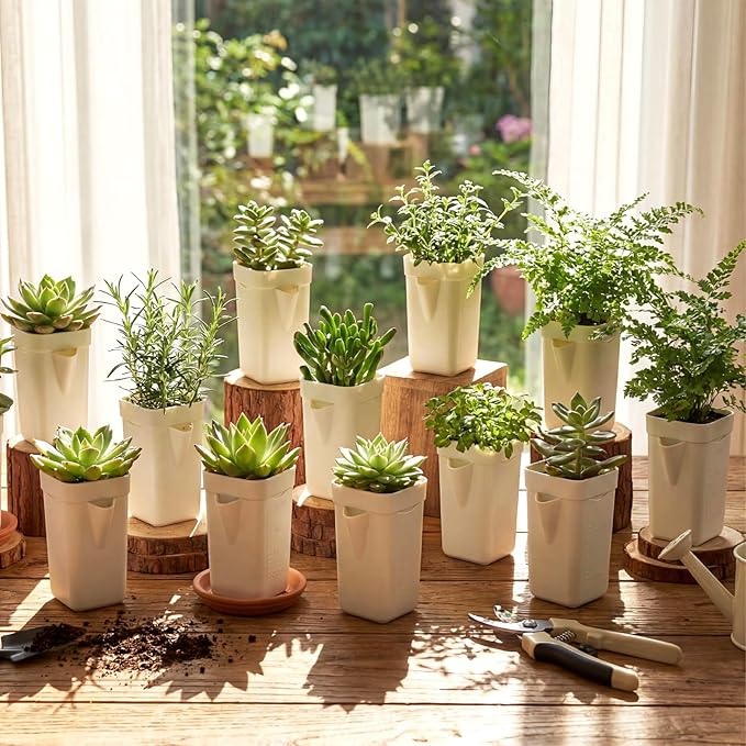 LemonRoad 20 Pack 2" Small Self Watering Pots for Indoor Plants with 20 Plant Label Mini White Plastic Planters with Water Level and Drainage Holes for Propagation, Succulents, and African Violet
