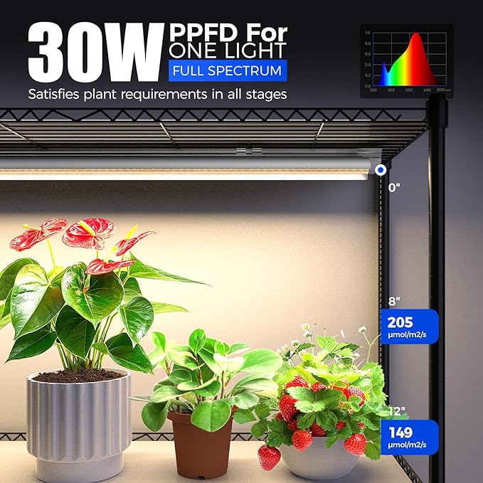 Barrina CX6 Plant Stand with Grow Lights, 3FT T8 30W(Per Light) Full Spectrum Yellow LED Plant Lights, Indoor Plant Shelf for Multiple Plants with On/Off Timer Socket, 6-Tier 35.4"x13.8"x70.9"