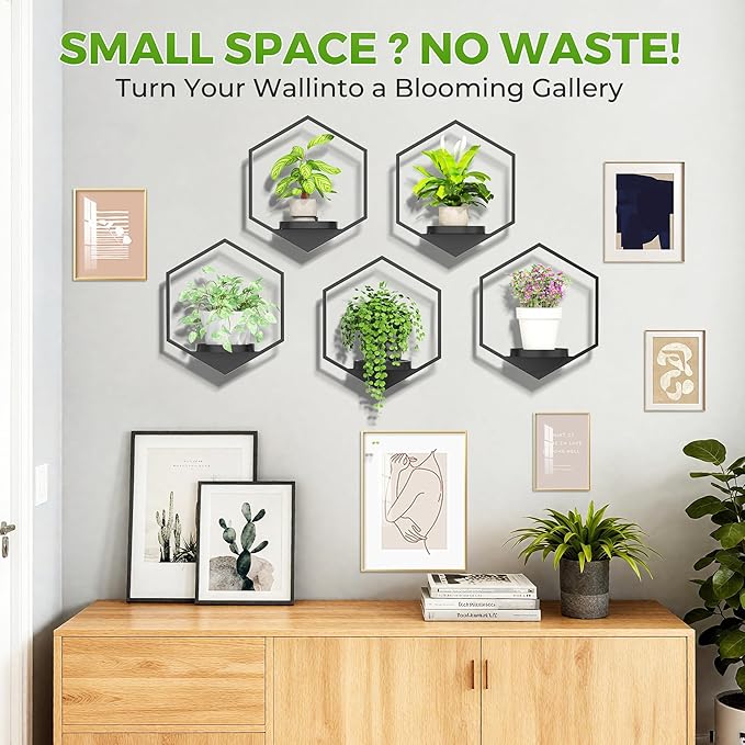 Wall Planters for Indoor Plants 5 Pack, Plant Frames Wall Decor Living Room Plant Stand Hanging Wall Plants Holder to Hold Large Pots Wall Plant Hanger Window Plant Shelves for Outdoor Entryway