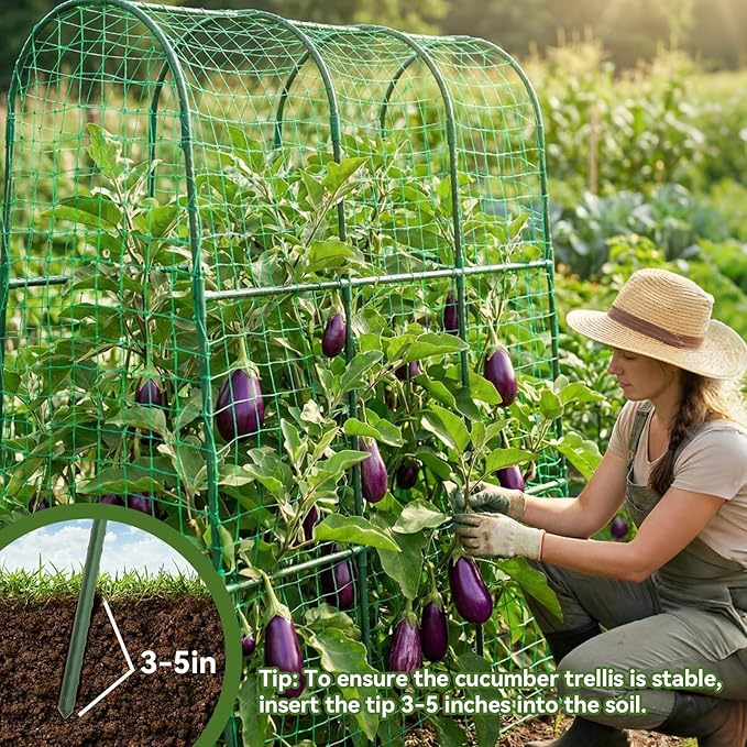 2 Pack Cucumber Trellis for Raised Bed, U-Shape Garden Trellis for Climbing Plants Outdoor, Metal Arch Trellis for Vegetables, Plant Support for Tomato, Bean, Pea